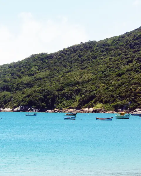 Barcos de pesca fondeados en el agua turquesa de Ponta das Canas, Florianópolis, Brasil
