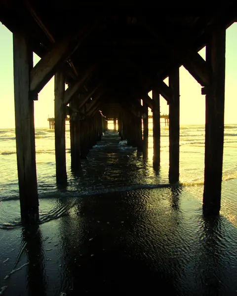 Pilotes de madera del muelle de Santa Teresita vistos desde abajo con la luz dorada del amanecer