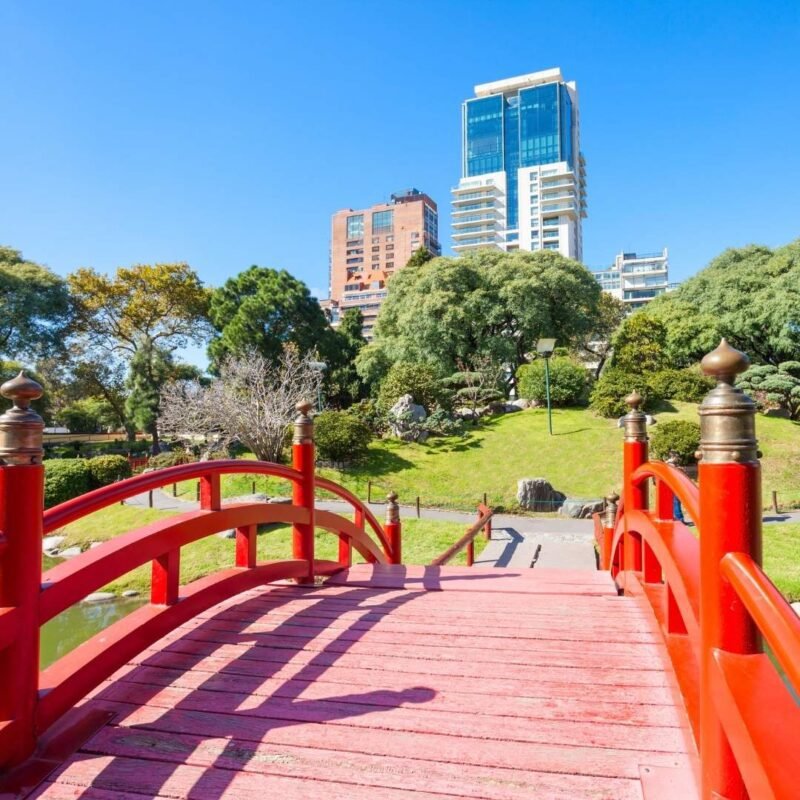 Viaje a Buenos Aires con el oso