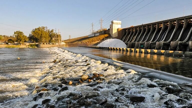 Termas de Río Hondo exclusivo del oso - Imagen 8